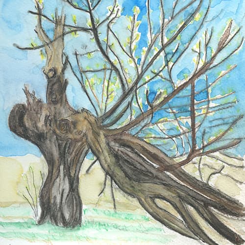 Tree study I